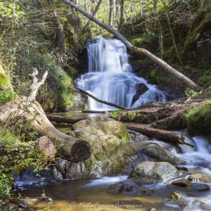 Gorges d'Enval avril 2024 by @NataFranceAuvergne-4047